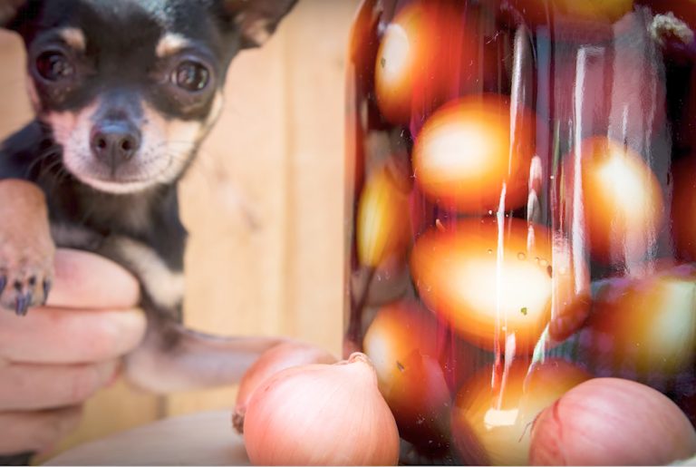 HOW TO MAKE PICKLED ONIONS Crisp not Soggy Steve's Kitchen